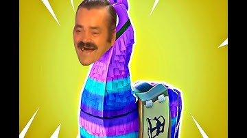 two llamas spawn right next to each other in fortnite :o