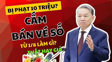 Từ 1/8/2025 có thật sự cấm bán vé số? đây là sự thật!