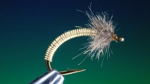 Tying the Scruffy Brassie Caddis/Sedge with Barry Ord Clarke