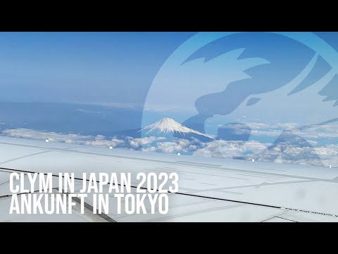 Zurück nach TOKYO! One Piece Story, Shibuya und mehr!