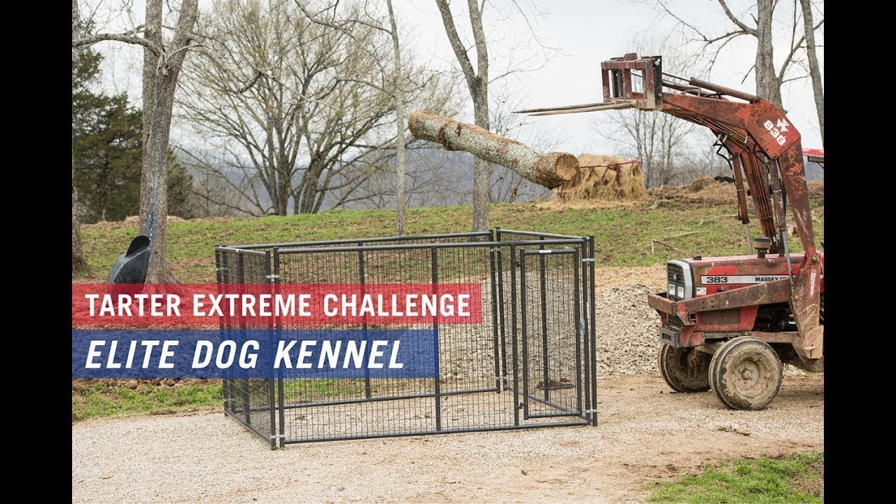 tarter heavy duty dog kennel
