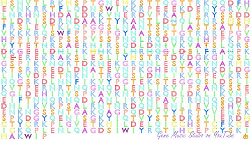 Gene Music using Protein Sequence of SCEL "SCIELLIN"
