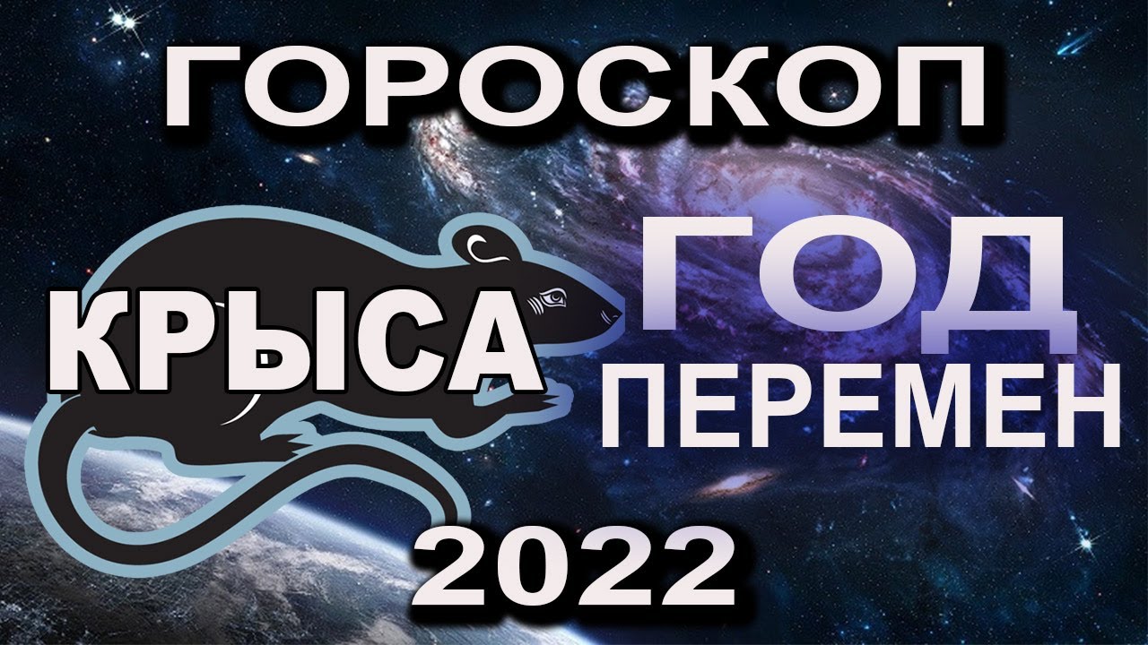 Гороскоп 2024 крыса стрелец. Гороскоп Стрелец и крыса.