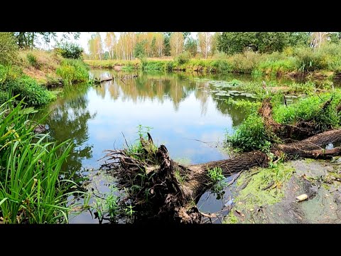 3 ДНЯ одни
