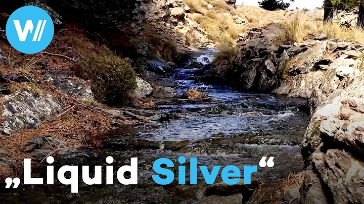 Andalusia's Innovative Water-Saving Revolution: Fighting Desertification | Water is our Future (1/5)