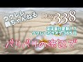 バリバリの浜辺で★ウクレレ365日シリーズ★Day338