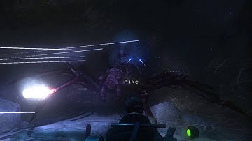 MIND HORROR Director