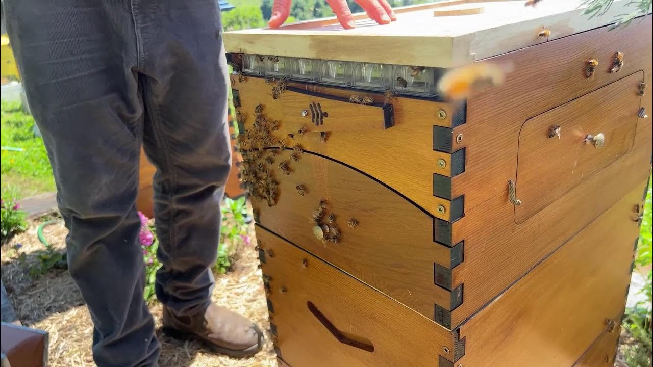 Flow frame tips and tricks YouTube