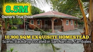 Napaka Ideal for Homestead ng House and Lot na Ito | San Narciso, Zambales