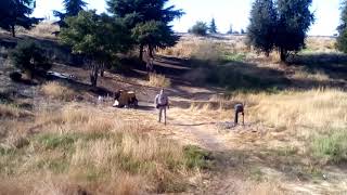 Video <span aria-label=