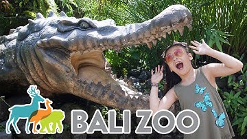 WELCOME TO BALI ZOO | GWEN KATE FAYE