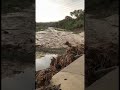 للفرج ساعة يبشر بها الرب الحكيم