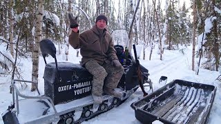 ОХОТА НА БОРОВУЮ ДИЧЬ В ГЛУХОЗИМЬЕ / ПОХОД В ТАЙГУ НА ЛЫЖАХ / ТРУДОВАЯ ОХОТА.