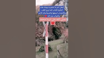 تلاوة القرآن الكريم ❤️ #explore #explorepage #اكسبلور #اسلام_صبحي #القرآن