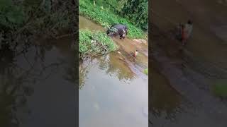 Elephant Bath Thirparappu waterfalls