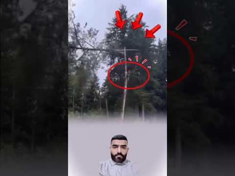 المخاطر تحيط بهم ولكنهم مستمرون 