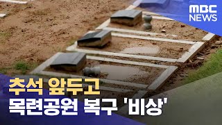 추석 한 달여 앞두고 목련공원 복구 '비상' (2023.08.24/뉴스데스크/MBC충북)