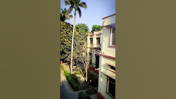 Aihc & Archaeology Department Bhu#archaelogy #bhu#Archaeologicalpoint #guitar