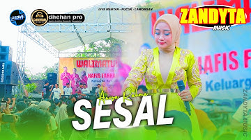 SESAL Hj Anisa Rahma ZANDYTA MUSIC Live Pucuk - Lamongan #dhehanpro