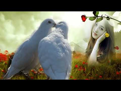 ЛЮБИШЬ СКАЖИ автор