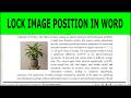 How to lock image and text position in word | Microsoft Word Tutorials