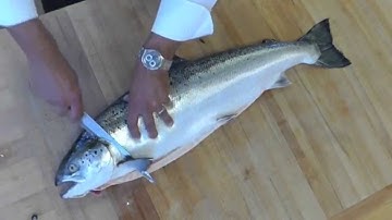 Hoe fileer je een hele zalm: technieken voor het schoonmaken, slachten en snijden van een hele zalm