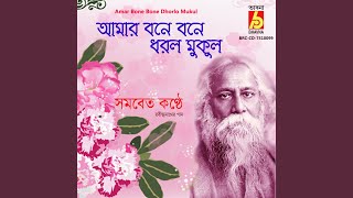 Amar Bone Bone Dhorlo Mukul