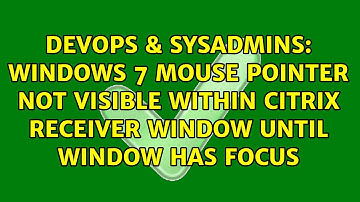 Windows 7 mouse pointer not visible within Citrix Receiver window until window has focus