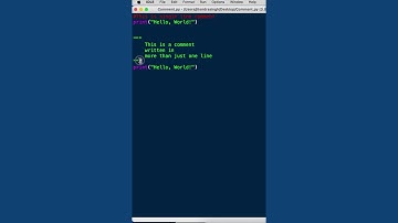 How to write Comments in python | Python Assignment Help