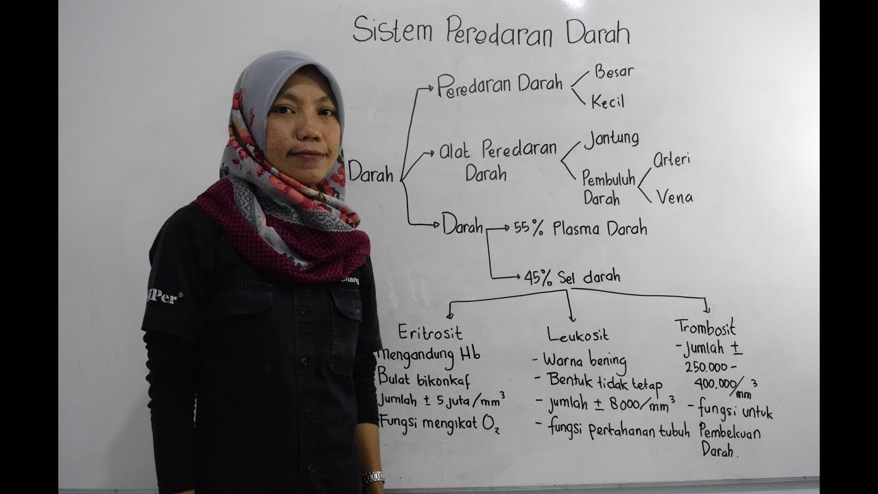 Video Pembelajaran IPA Sistem Peredaran Darah  YouTube