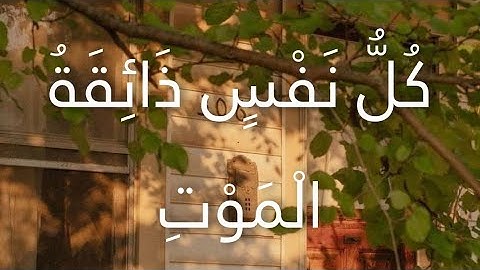 سورة العنكبوت : كُلُّ نَفْسٍ ذَائِقَةُ الْمَوْتِ🫀🩺.. (عبدالرحمن مسعد)