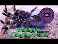 Molting 101 - A Beginner's Guide