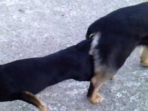 zakleszczenie-youtube