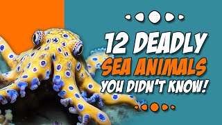 Deadly Sea Animals You Didn't Know by Animal Fascination 579 views 3 months ago 12 minutes, 36 seconds