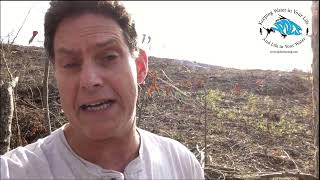 Timber Harvesting Impacts on Stormwater Quality