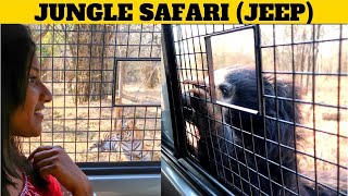 BANNERGHATTA NATIONAL PARK | Jungle Safari | Tamil Travel Vlog