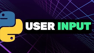 User Input in Python  🐍 Python for Beginners