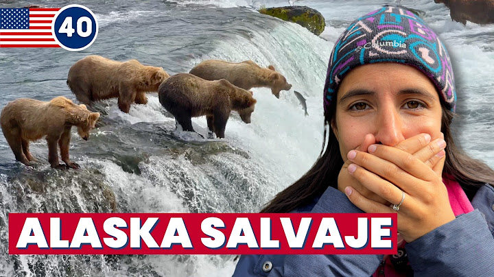 INCREÍBLE 😳 Rodeados por 20 OSOS GRIZZLY en ALASKA 🇺🇸 Ep.40 [Katmai]