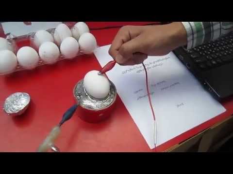 კვერცხის ნაჭუჭზე მიკრობზარების აღმომჩენი აპარატი