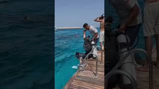 Diving In Hurgada, Egypt I Ново Видео В Петък