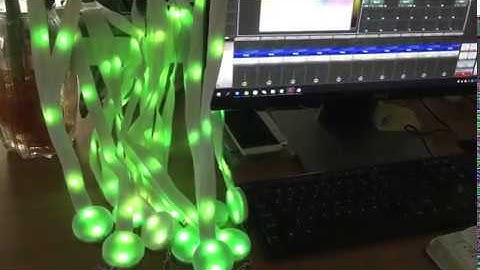 DMX512 Programmable Remote Controlled LED Lanyard