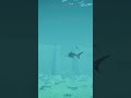 Aquatic VS Great White Shark