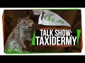 Learn To Taxidermy | SciShow Talk Show