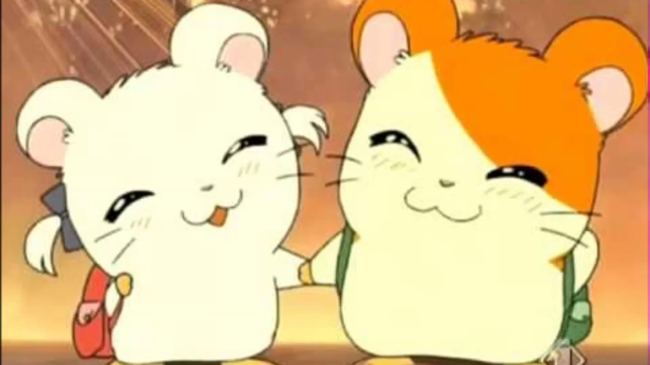  Hamtaro  versi Bahasa  Indonesia  Ost Opening With Lyrics 