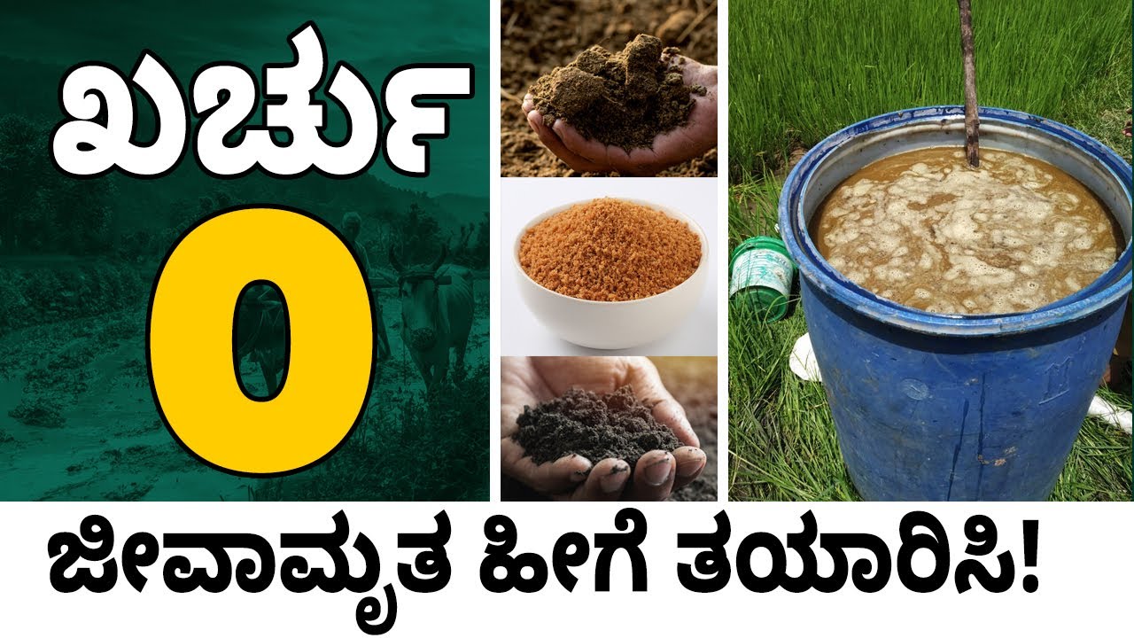 Jeevamrutha Preparation in Kannada I ಜೀವಾಮೃತ ತಯಾರಿಸುವ ವಿಧಾನ