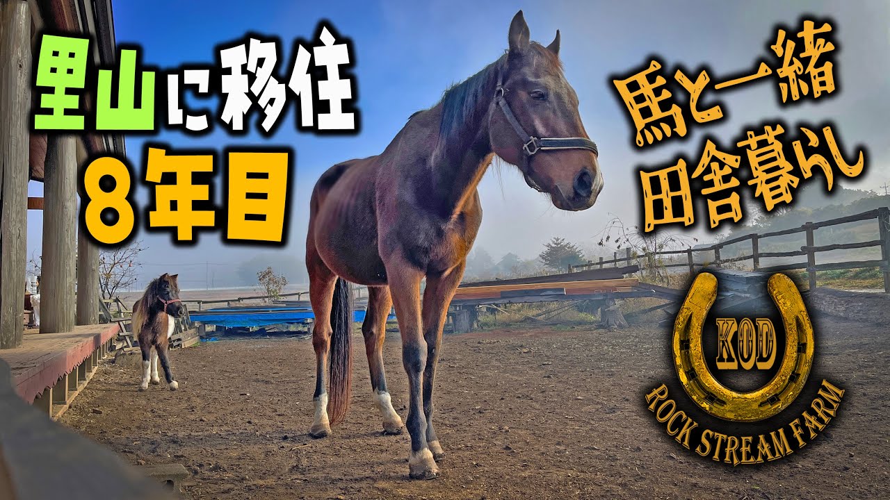 里山の田舎暮らし８年目・これが我が家のリアル移住生活・柚子狩りとジャム、薪ストーブでピザ＆ローストポーク／Rural Life Rooted Local Community  Vol.149【RSF】