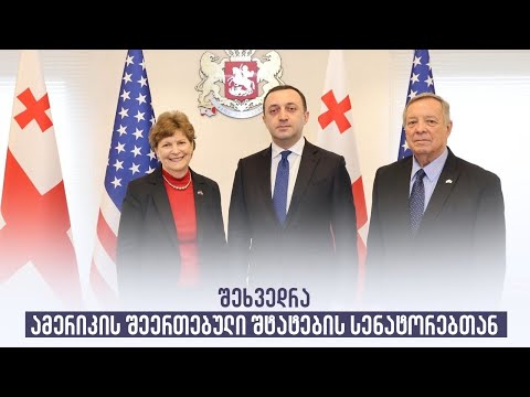 შეხვედრა ამერიკის შეერთებული შტატების სენატორებთან