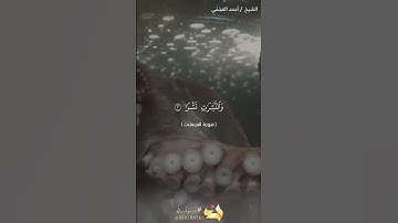 تلاوة القرآن الكريم مكتوبه بصوت الشيخ أحمد العجمي سورة المرسلات
