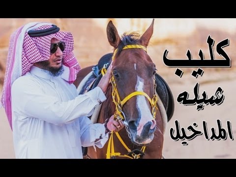 شيلة مداخيل كلمات الشاعر أحمد البلوي أداء طارق ال