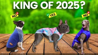 6 Best Cooling Jacket For Dogs 2026